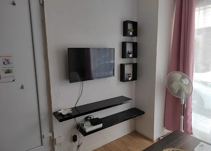 Plein Centre 公寓 欧什