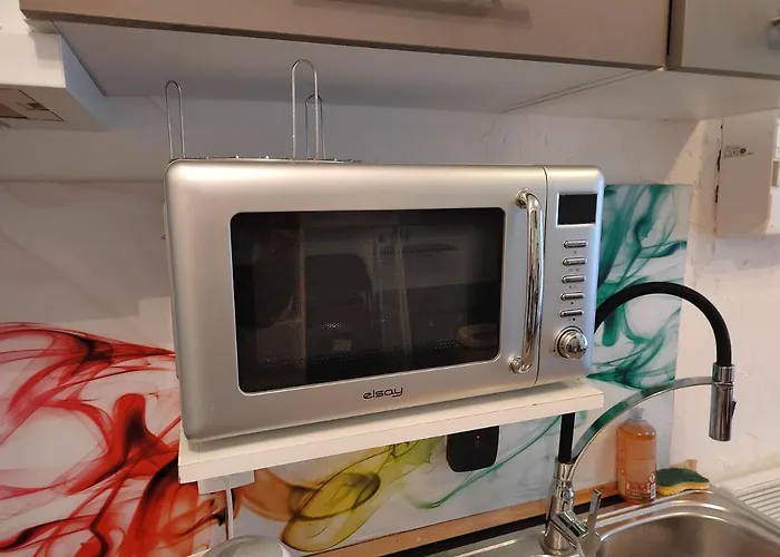 公寓 Plein Centre 欧什