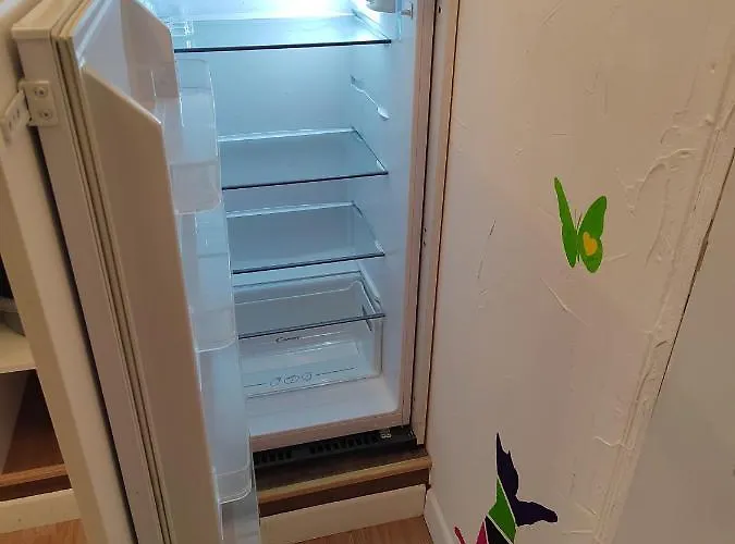 Plein Centre 公寓 欧什