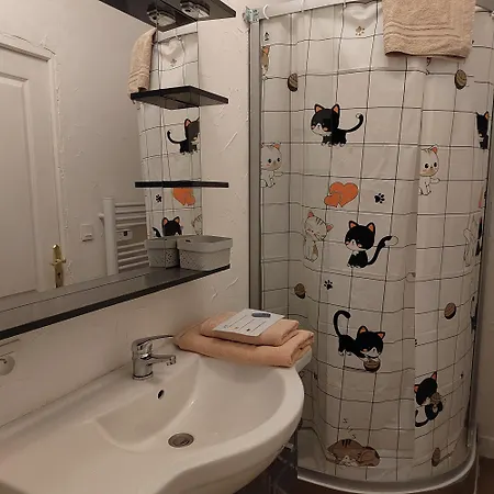 Plein Centre Appartement